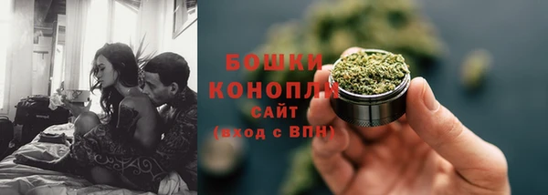гашик Россошь