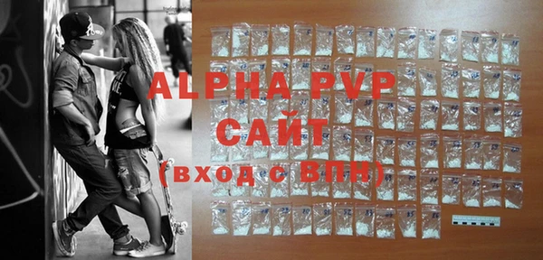 гашик Россошь
