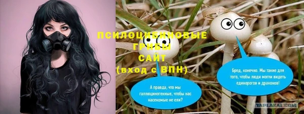 ГАЛЛЮЦИНОГЕННЫЕ ГРИБЫ Грязовец